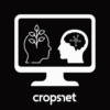 Collaborative Research for Online Postgraduate Studies Network (CROPSNet)
